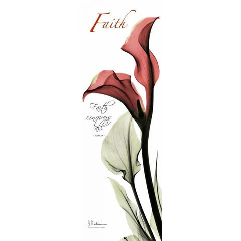 Calla Lily in Red - Faith Gold Ornate Wood Framed Art Print with Double Matting by Koetsier, Albert