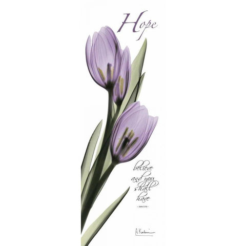 Tulips in Purple - Hope White Modern Wood Framed Art Print by Koetsier, Albert
