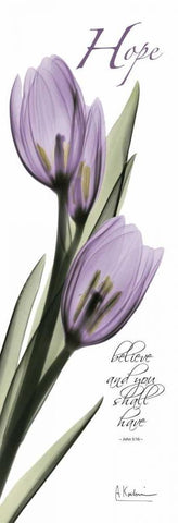 Tulips in Purple - Hope White Modern Wood Framed Art Print with Double Matting by Koetsier, Albert