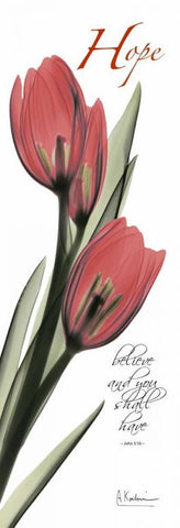 Tulips in Red  - Hope White Modern Wood Framed Art Print with Double Matting by Koetsier, Albert