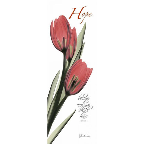 Tulips in Red  - Hope Black Modern Wood Framed Art Print with Double Matting by Koetsier, Albert