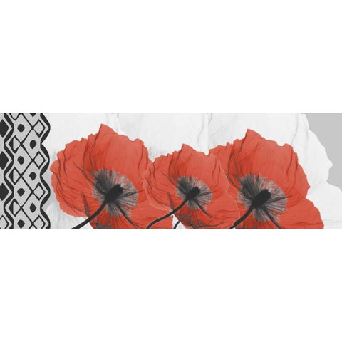 Poppies L167 White Modern Wood Framed Art Print by Koetsier, Albert