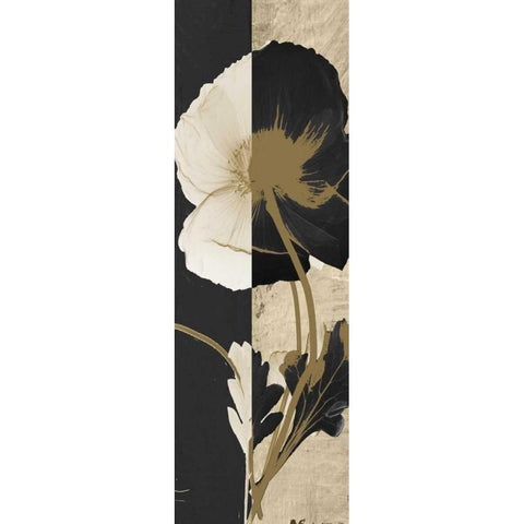 Iceland Poppy White Modern Wood Framed Art Print by Koetsier, Albert