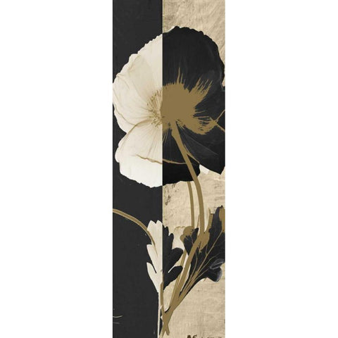 Iceland Poppy Black Modern Wood Framed Art Print with Double Matting by Koetsier, Albert