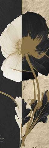 Iceland Poppy Black Ornate Wood Framed Art Print with Double Matting by Koetsier, Albert