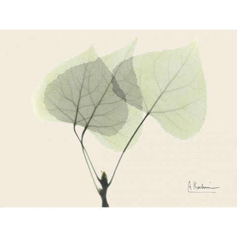 Aspen on Beige White Modern Wood Framed Art Print by Koetsier, Albert