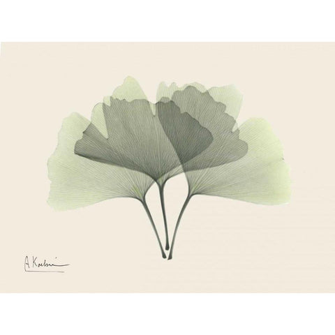 Ginkgo on Beige White Modern Wood Framed Art Print by Koetsier, Albert