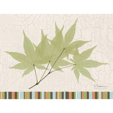 Trimmed Maple White Modern Wood Framed Art Print by Koetsier, Albert