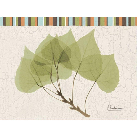 Trimmed Aspen Black Modern Wood Framed Art Print with Double Matting by Koetsier, Albert