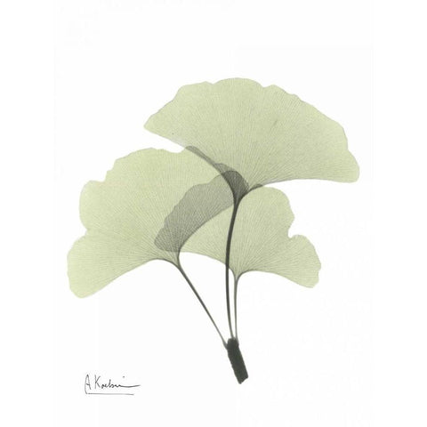 Gingko in Pale Green 2 Gold Ornate Wood Framed Art Print with Double Matting by Koetsier, Albert