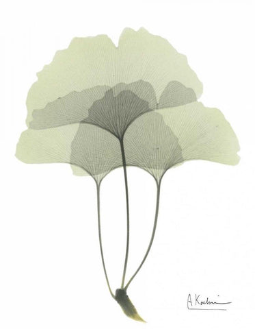 Gingko in Pale Green 3 White Modern Wood Framed Art Print with Double Matting by Koetsier, Albert