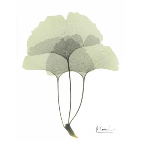 Gingko in Pale Green 3 White Modern Wood Framed Art Print by Koetsier, Albert