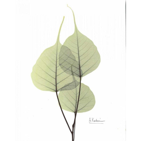 Bo Tree in Pale Green 2 White Modern Wood Framed Art Print by Koetsier, Albert