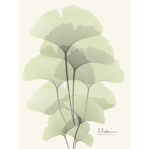 Gingko Leaves in Green 2 White Modern Wood Framed Art Print by Koetsier, Albert