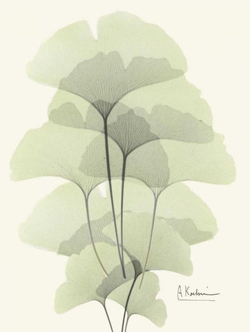 Gingko Leaves in Green 2 Black Ornate Wood Framed Art Print with Double Matting by Koetsier, Albert