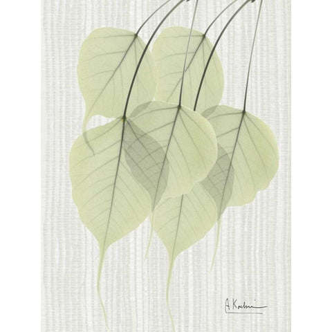 Bo Tree Leaves in Green on Stripes Black Modern Wood Framed Art Print with Double Matting by Koetsier, Albert
