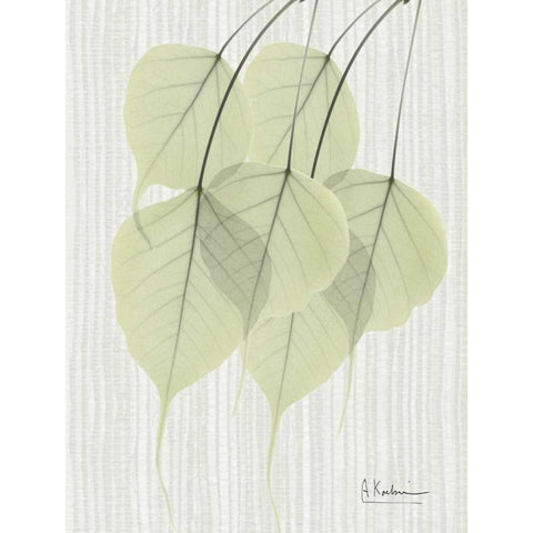 Bo Tree Leaves in Green on Stripes White Modern Wood Framed Art Print by Koetsier, Albert