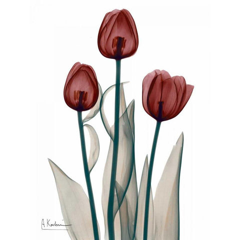 Early Tulips in Red Gold Ornate Wood Framed Art Print with Double Matting by Koetsier, Albert