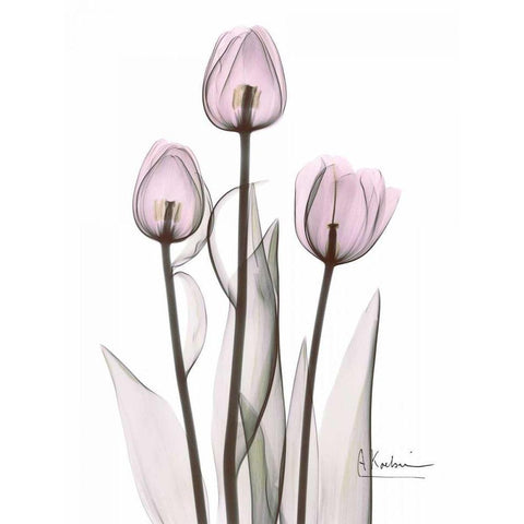 Early Tulips in Lavender Gold Ornate Wood Framed Art Print with Double Matting by Koetsier, Albert