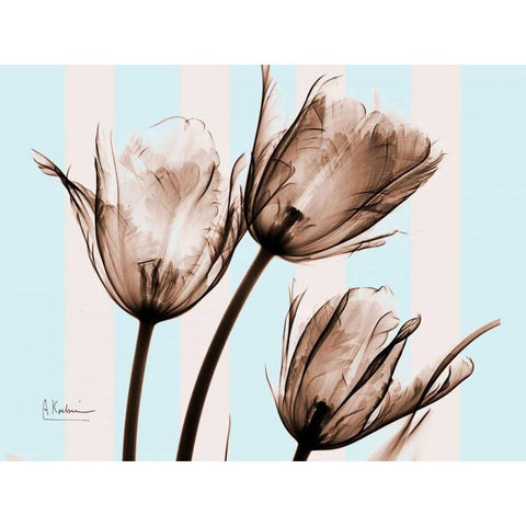 Tulips Brown on Blue Gold Ornate Wood Framed Art Print with Double Matting by Koetsier, Albert