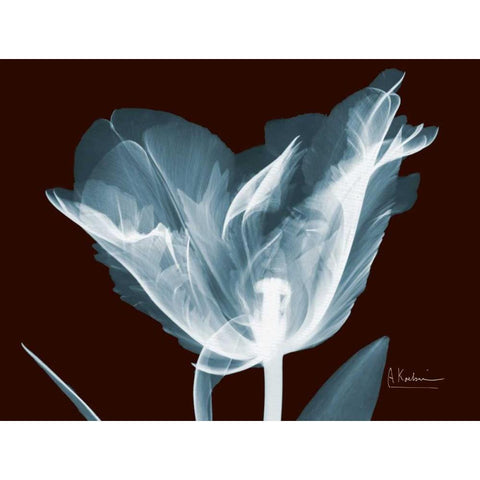 Single Tulip Blue on Red White Modern Wood Framed Art Print by Koetsier, Albert