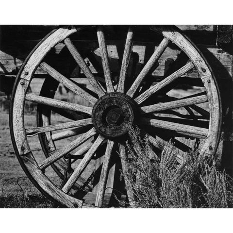 Bodi Wheel Black Modern Wood Framed Art Print with Double Matting by Koetsier, Albert