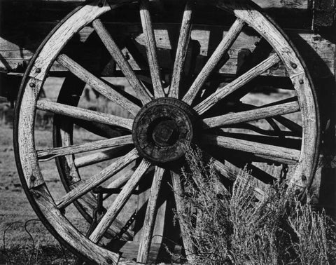 Bodi Wheel Black Ornate Wood Framed Art Print with Double Matting by Koetsier, Albert