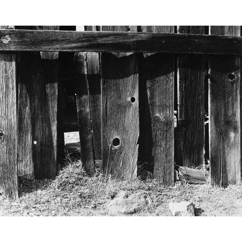 Bodi Fence White Modern Wood Framed Art Print by Koetsier, Albert