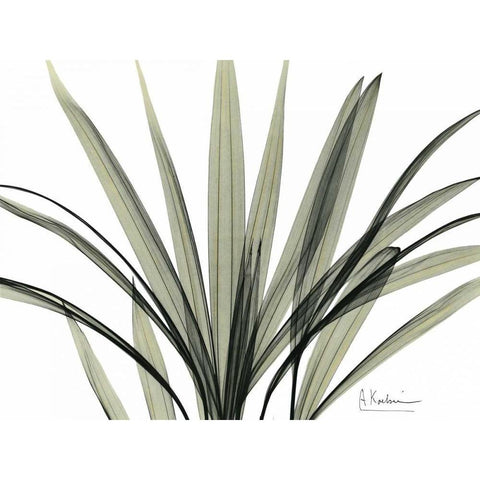Mini Palm Tree White Modern Wood Framed Art Print by Koetsier, Albert