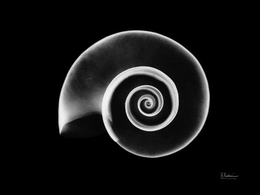 Image Only