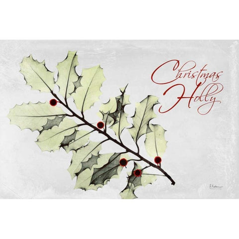 Xmas Holly L297 Black Modern Wood Framed Art Print with Double Matting by Koetsier, Albert