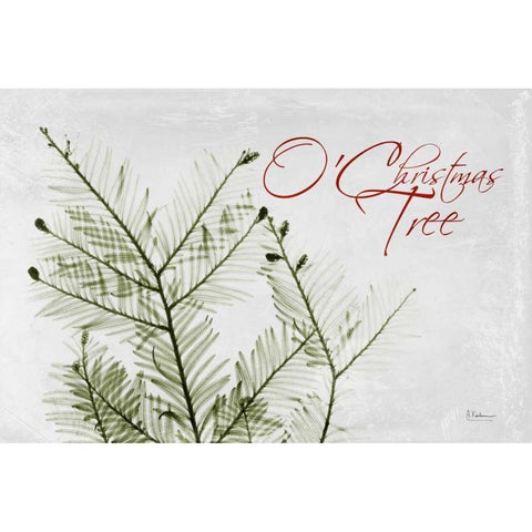 O Christmas Evergreen White Modern Wood Framed Art Print by Koetsier, Albert