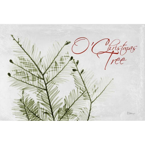 O Christmas Evergreen Black Modern Wood Framed Art Print with Double Matting by Koetsier, Albert
