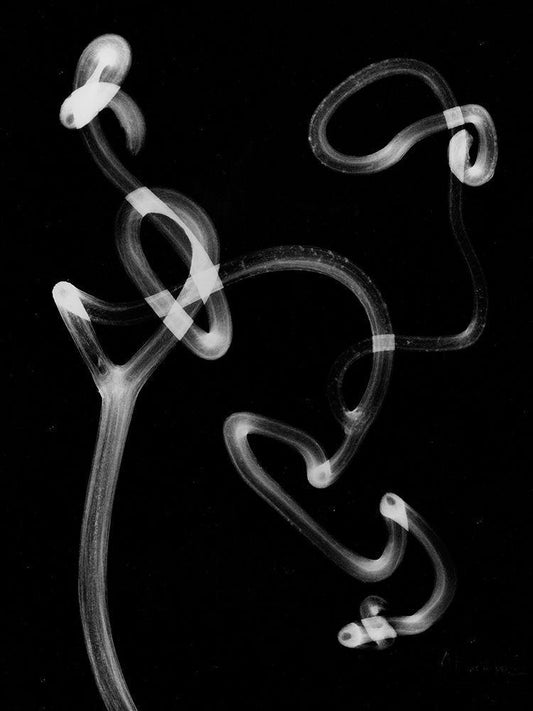 Image Only