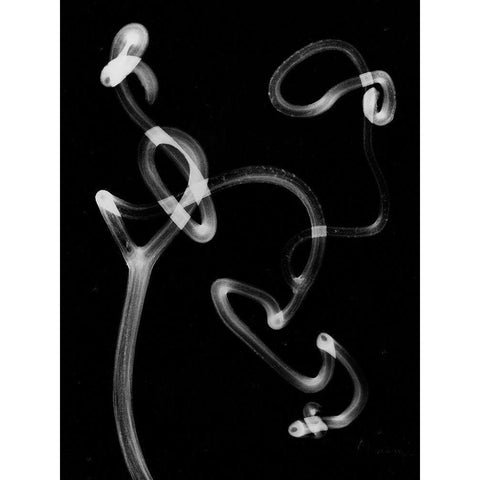 Tendril Black Modern Wood Framed Art Print by Koetsier, Albert