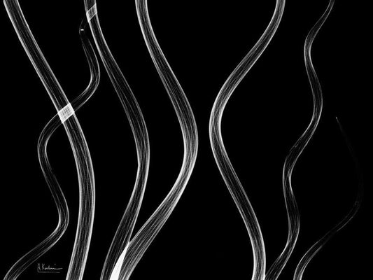 Image Only