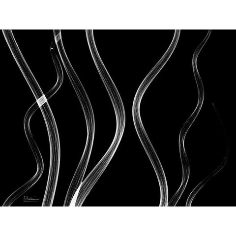 Endless Reach Black Modern Wood Framed Art Print by Koetsier, Albert