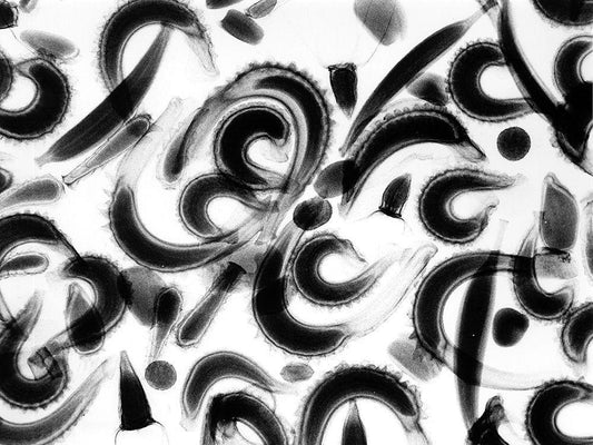 Image Only