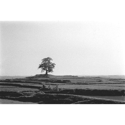 Lonely Field Black Modern Wood Framed Art Print with Double Matting by Koetsier, Albert