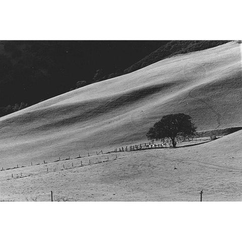 Calming Slope White Modern Wood Framed Art Print by Koetsier, Albert