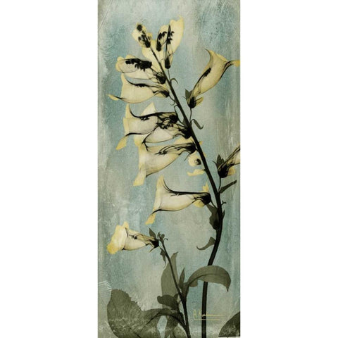 Golden Foxglove White Modern Wood Framed Art Print by Koetsier, Albert