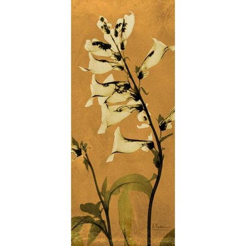 Golden Foxglove White Modern Wood Framed Art Print by Koetsier, Albert