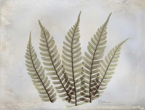 Fern White Modern Wood Framed Art Print with Double Matting by Koetsier, Albert