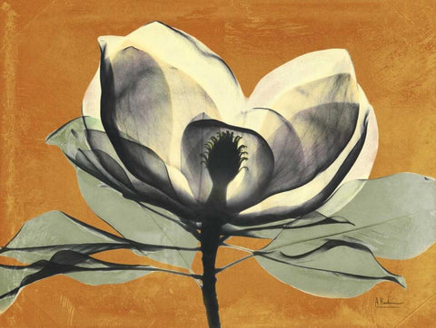 Warm Magnolia 1 Black Ornate Wood Framed Art Print with Double Matting by Koetsier, Albert