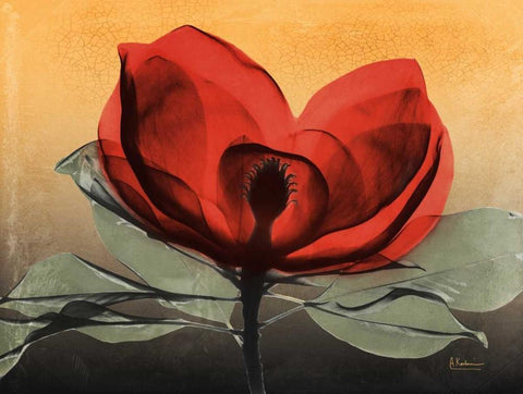 Hot Magnolia 1 White Modern Wood Framed Art Print with Double Matting by Koetsier, Albert