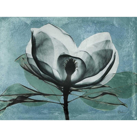 Magnolia Blues 1 White Modern Wood Framed Art Print by Koetsier, Albert