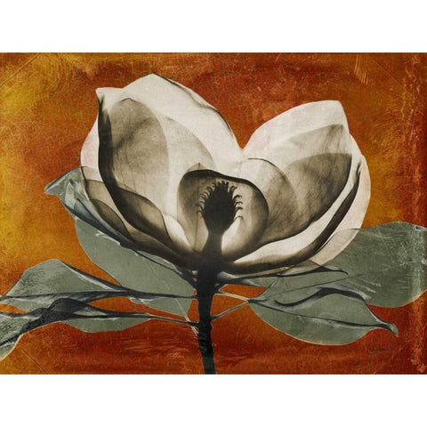 Magnolia Rust 1 Black Modern Wood Framed Art Print with Double Matting by Koetsier, Albert