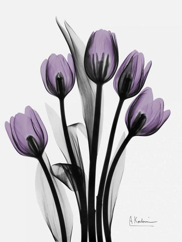 Five Tulips in Purple Black Ornate Wood Framed Art Print with Double Matting by Koetsier, Albert