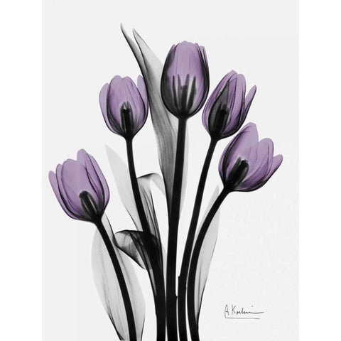 Five Tulips in Purple Gold Ornate Wood Framed Art Print with Double Matting by Koetsier, Albert
