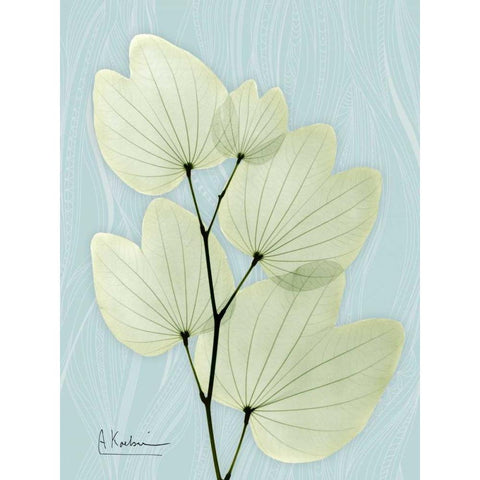 Orchid Tree L122 White Modern Wood Framed Art Print by Koetsier, Albert